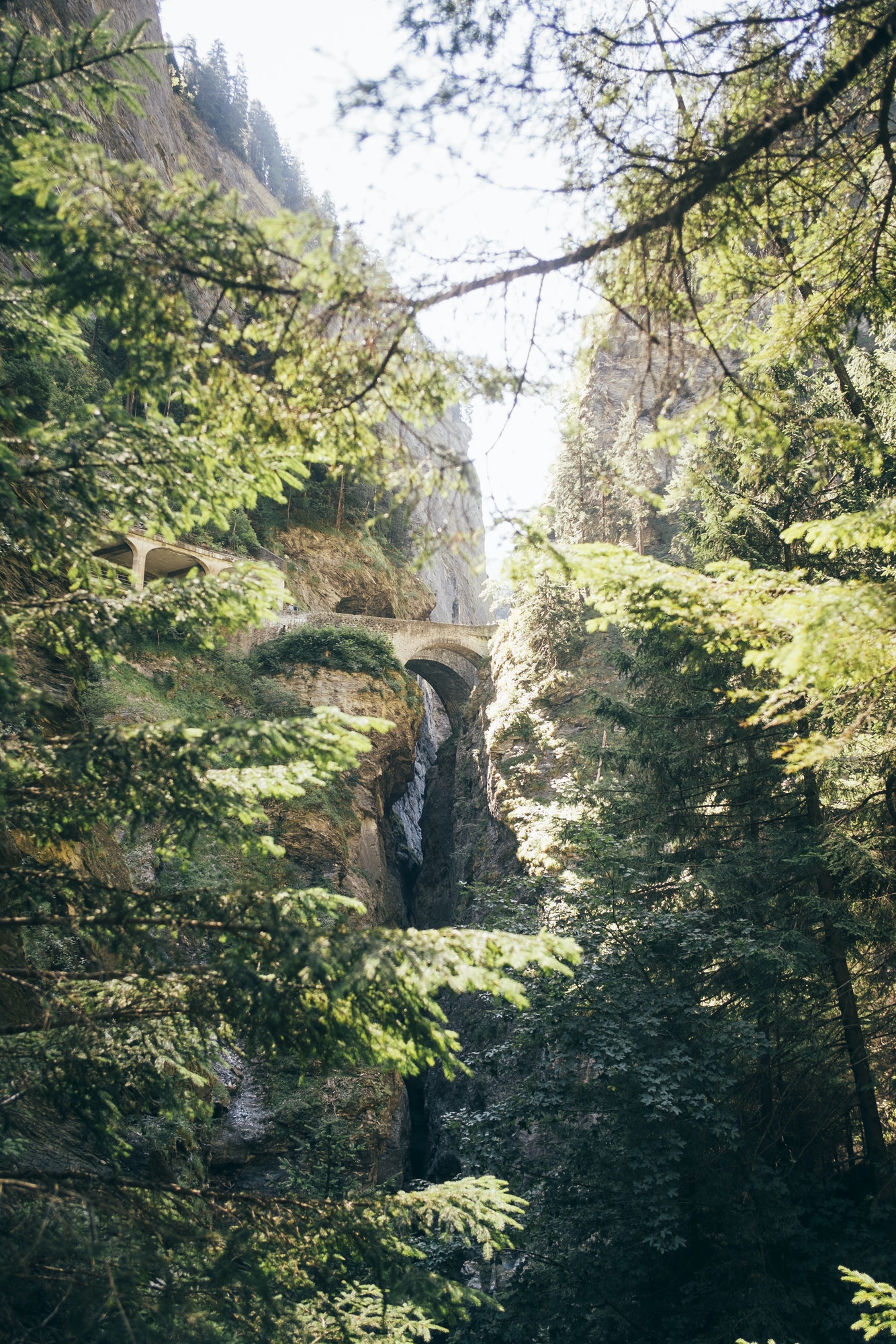 Low angle view through trees of bridge connecting mountains, Hinterrhein, Switzerland